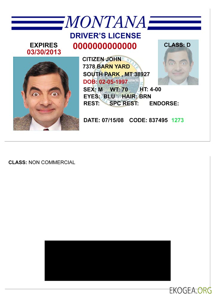 USA Montana driving license version 3